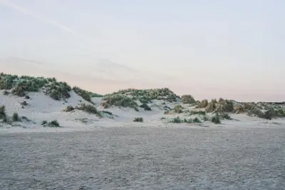 a beach with sand dunes and bushes in the distance at Leonardo Hotel IJmuiden Seaport Beach in IJmuiden