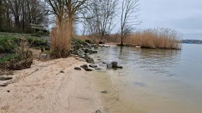 a group of rocks in the water next to a beach at Fenix Edam in Edam