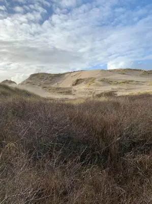 a field of grass with a hill in the background at De Bollenschuur in Egmond aan Zee