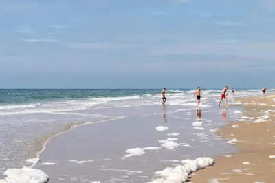 a group of people walking on the beach at De Bollenschuur in Egmond aan Zee