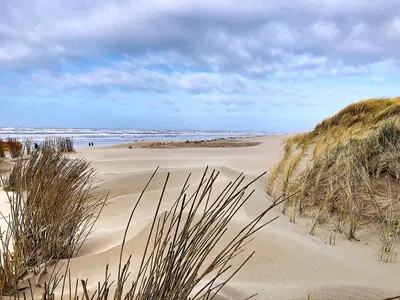 a beach with sand and grass and the ocean at De Bollenschuur in Egmond aan Zee