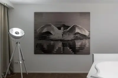 a swan swimming in the water with its wings unfolded at Hotel Mitland in Utrecht