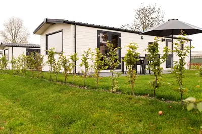 a row of trees in front of a house at Park Westerkogge in Berkhout