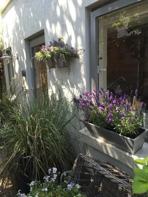a house with two potted plants on the front door at Appartement 't Souterrain in Zandvoort