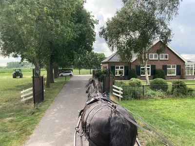 a horse pulling a carriage down a driveway at De Mast bij Fort Vechten on the countryside & close to Utrecht in Bunnik