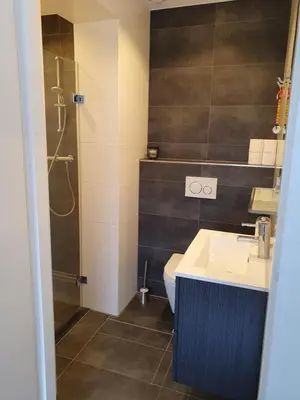 a bathroom with a toilet and a sink and a shower at Aangepast vakantiehuis Sandra mindervaliden in Limmen