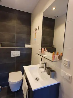 a bathroom with a sink and a toilet and a mirror at Aangepast vakantiehuis Sandra mindervaliden in Limmen