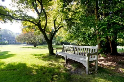 a park bench sitting in the grass under a tree at Hotel Ernst Sillem Hoeve in Den Dolder