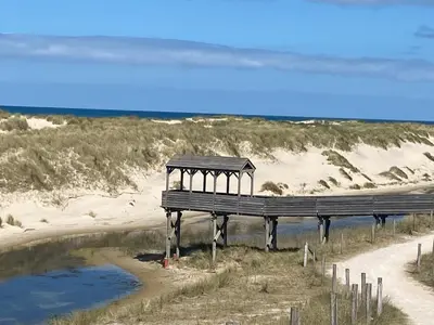a bench on the beach next to a body of water at sunshine in Schoorl