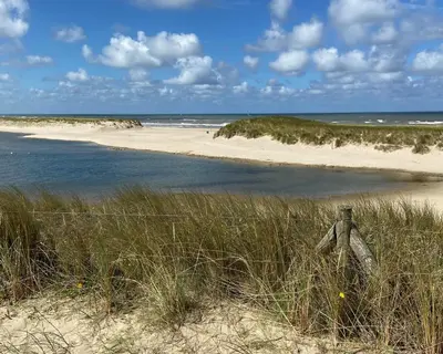 a view of a beach with the ocean at sunshine in Schoorl
