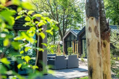 a glass house in the middle of a garden at Résidence Lage Vuursche in Lage-Vuursche