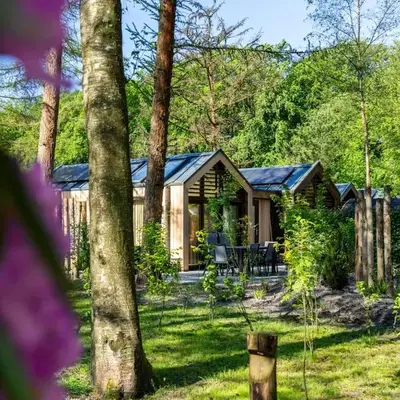 Résidence Lage Vuursche