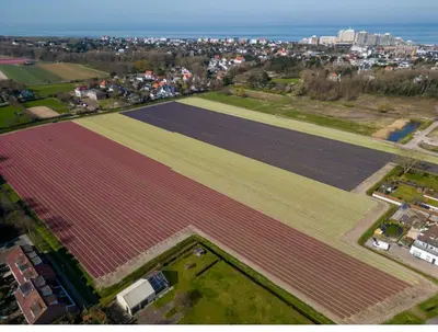 an aerial view of a large field of plants at Tiny beachhouse - free parking in Noordwijk