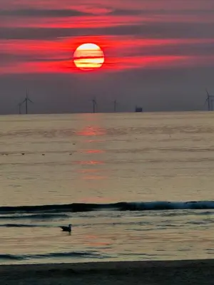 a person in the ocean with the sun in the background at Bodhi Beach House in Egmond aan Zee