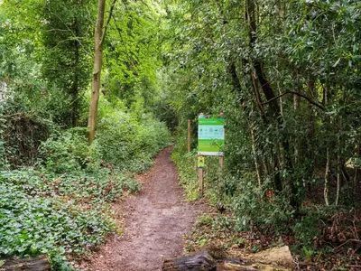 a dirt trail through a forest with a sign at Holiday house in Bergen with sauna in Bergen