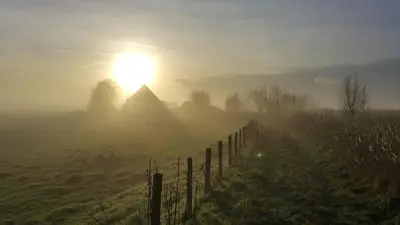 a misty sunrise in a field with a fence at Bed In Waterland in Broek in Waterland