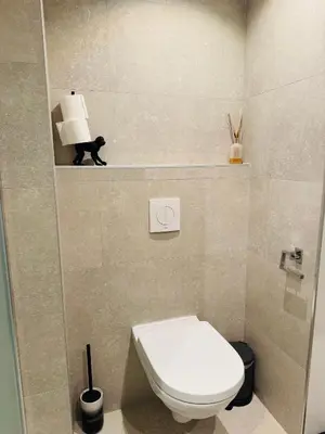 a bathroom with a toilet and a black cat on a shelf at Hello Noordwijk - Souterrain Hoogwakersbosstraat 6 in Noordwijk aan Zee