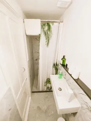 a white bathroom with a sink and a shower at JoyJoyJoy the Green Palm ecolicious studio in a in historic Canalhouse from 1729 with view on the canals in Amsterdam