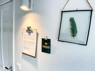 a white door with a cactus on the wall at JoyJoyJoy the Green Palm ecolicious studio in a in historic Canalhouse from 1729 with view on the canals in Amsterdam