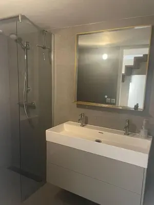 a bathroom with a sink and a shower at Huisje Hendrik in Baarn
