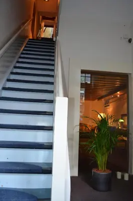 a staircase in a building with a potted plant at Rembrandtplein Bed & Breakfast in Amsterdam