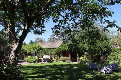 a yard with a tree and a house with a lawn at 1 for 2 in Nederhorst den Berg