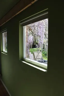a window with a view of a tree with purple flowers at 1 for 2 in Nederhorst den Berg