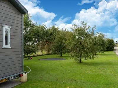 a view of a yard with an apple tree at Holiday home in Burgerbrug near the beach in Burgerbrug