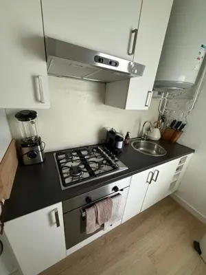a small kitchen with a stove and a sink at Sea La Vie- Appartement aan het strand in Zandvoort aan Zee! in Zandvoort