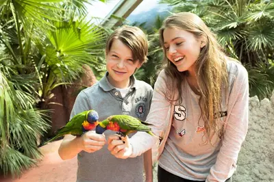 a boy and a girl holding two birds in their hands at Van der Valk Hotel Avifauna in Alphen aan den Rijn