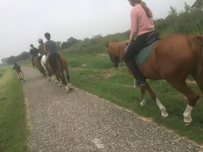a group of people riding horses down a road at gouwzicht in Amsterdam