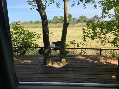 a dog laying on a porch looking at a field at Het oude strandhuis in Uitgeest