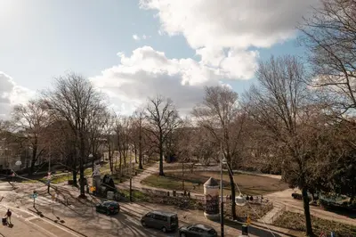 a view of a park with cars and trees at House of Adam in Amsterdam
