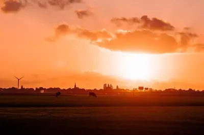 a sunset with cows grazing in a field with a windmill at Groepsaccommodatie op natuurboerderij Huize Blokland in Hem