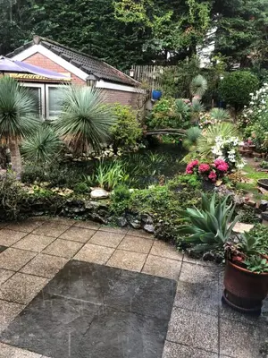 a garden with alot of plants and flowers at Romantisch Tiny Gardenhouse in beautiful garden in Zandvoort
