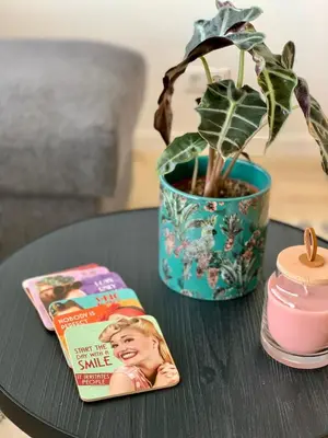 a table with a magazine and a potted plant at Amsterdam Beach Apartment 76 in Zandvoort