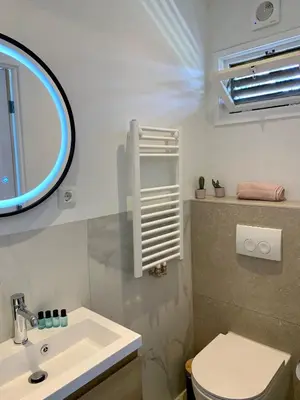 a bathroom with a sink and a mirror and a toilet at Amsterdam Beach Apartment 76 in Zandvoort