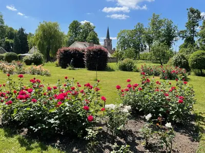 a garden of flowers with a church in the background at Landgoed Huis te Jaarsveld in Jaarsveld