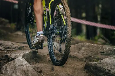 a person riding a bike on a dirt trail at Fletcher Hotel-Restaurant Oud London in Zeist