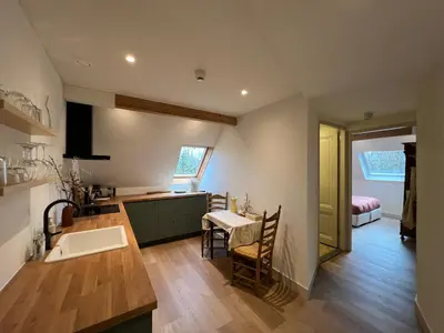 a kitchen with a sink and a table at Inn Het Nest in Amsterdam
