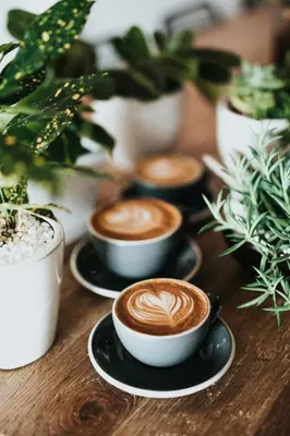four cups of coffee on a table with plants at Renovated Parkside Gem - 2 person studio in the Pijp in Amsterdam