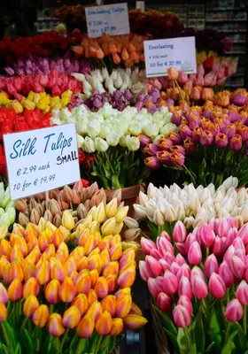 a display of colorful flowers for sale in a market at Renovated Parkside Gem - 2 person studio in the Pijp in Amsterdam