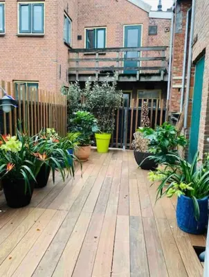 a patio with potted plants on a wooden deck at City-beach apartment nearby Amsterdam in Hoorn