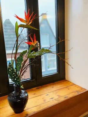 a plant in a vase sitting on a window sill at City-beach apartment nearby Amsterdam in Hoorn