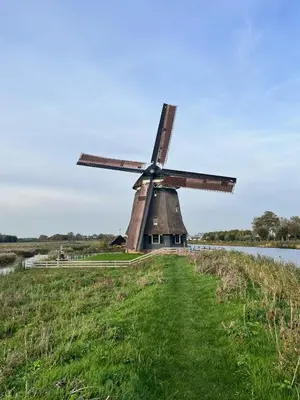 a windmill in a field next to a body of water at Vrijstaand chalet met veel buitenruimte en veranda in Zuid-Scharwoude