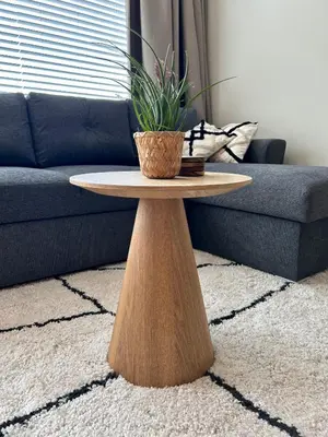 a table with a potted plant on it in a living room at Amsterdam Beach Apartment 33, Private Garden in Zandvoort