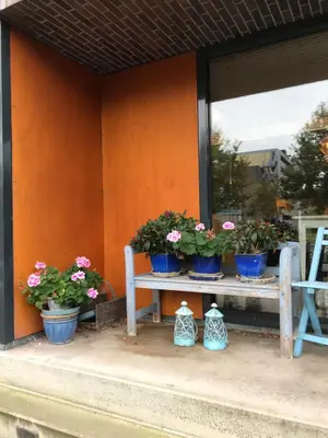 a table with potted plants on it next to a window at Great House for Two in Amsterdam in Amsterdam