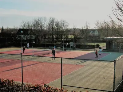 a group of people playing tennis on a tennis court at The Poplar Place, Comfort & Hottub in Zeewolde