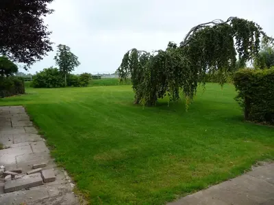 a green field with a tree in the middle of it at B&B “Te Warskip bij BlokVis” in Medemblik