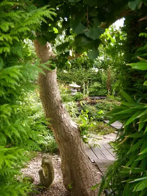 a tree trunk sitting next to a wooden walkway at B&B “Te Warskip bij BlokVis” in Medemblik